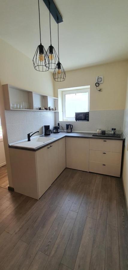 Cbt Apartament Тимишоара Экстерьер фото