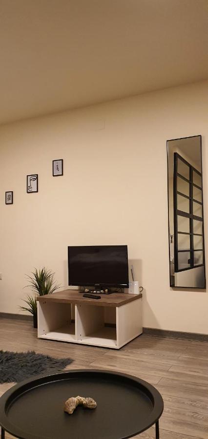 Cbt Apartament Тимишоара Экстерьер фото